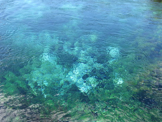 14m Blick auf den Grund der Pupu Springs