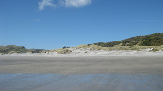 Die naechsten 10 Bilder sind am Wharariki Beach