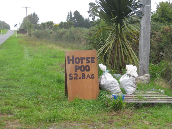 Pferdescheisse fuer 2 Dollar - An Geschaeftssinn mangelt es denen hier nicht.