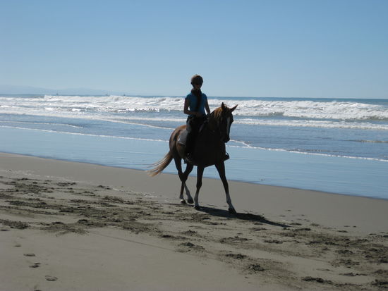 ... am endlosen Sandstrand