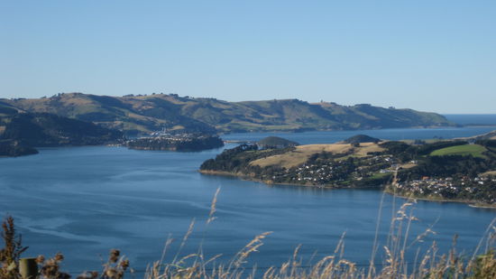 Otago Peninsula