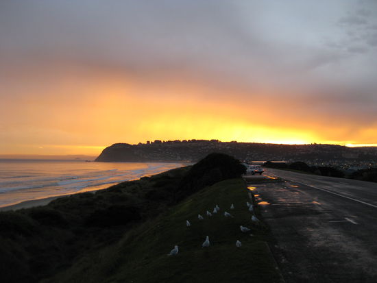 Sonnenuntergang Dunedin