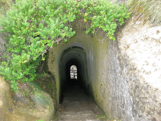 Tunnel runter zum Strand