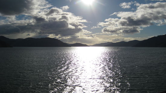 Malborough Sound am fruehen Morgen...