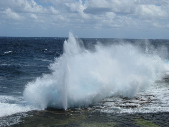 Blowholes
