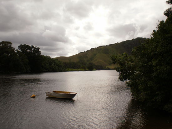 Daintree River