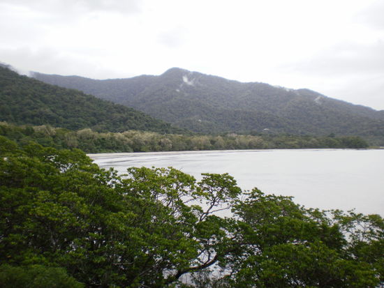 Cape Tribulation