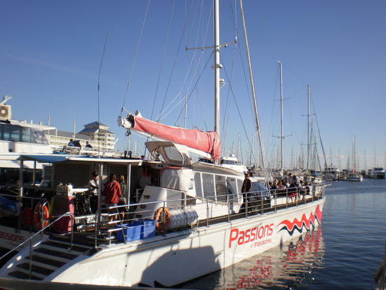 Passions of Paradise