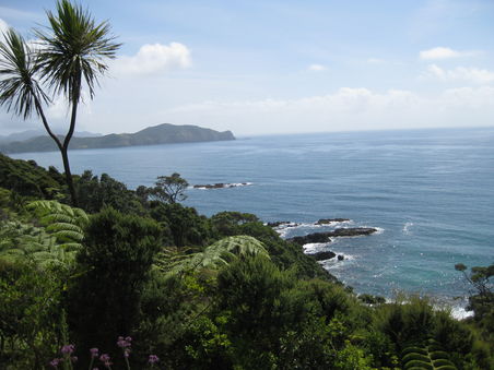 Bay of Islands