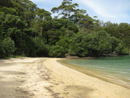Beach at Bay of Islands