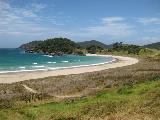 Aber es lohnt sich wieder einmal