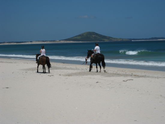 Leider (noch) nicht die Eva