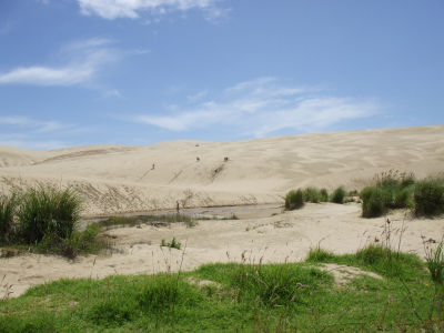 Sanddünen am 90 miles Beach