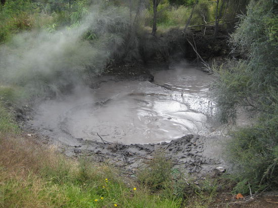 brodelndes Schlammloch in Rotorua