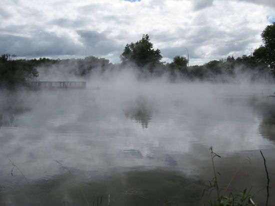 dampfender See, mitten im Park in Rotorua