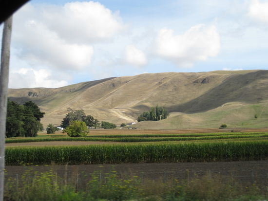 Auf der Nordinsel Unterwegs