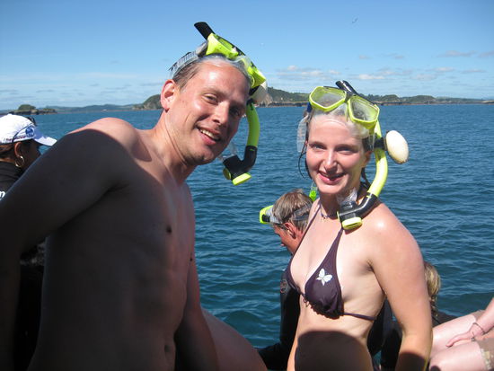 Delphintour, Bay of Islands