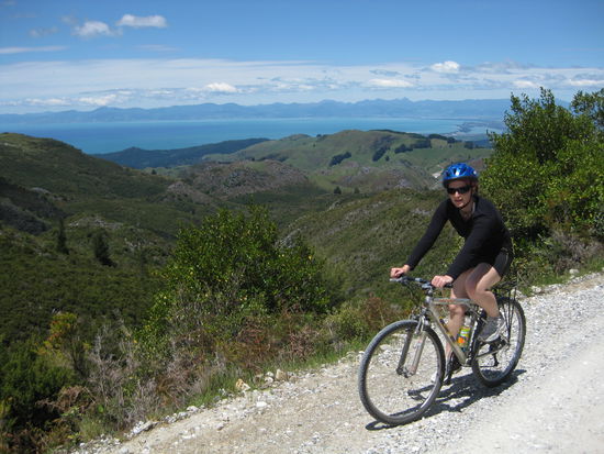Mountain-Biking - Rameka Track