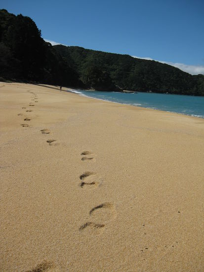 Abel Tasman National Park