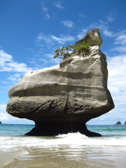 Cathedral Cove Beach, Coromandel Halbinsel