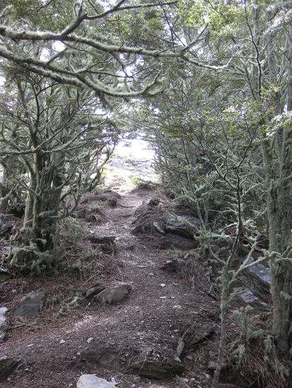Wanderung in Queenstown