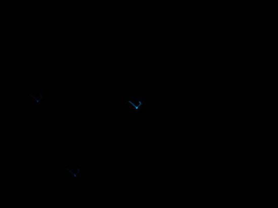 Könnt Ihr die Glühwürmchen erkennen 