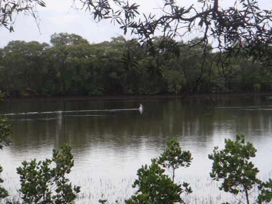 Blick aus dem Haus auf den "Haus-Pelikan" Anton
