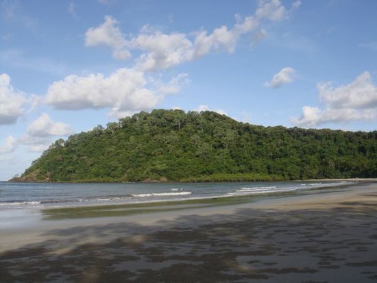 "Where the rainforest meets the reef" - ein oft gelesener Satz bei sämtlichen Touranbietern