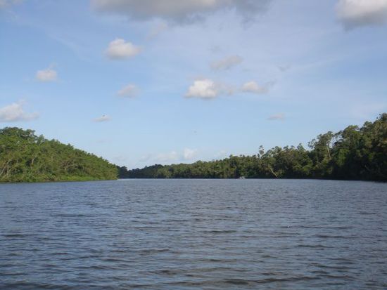 Daintree River