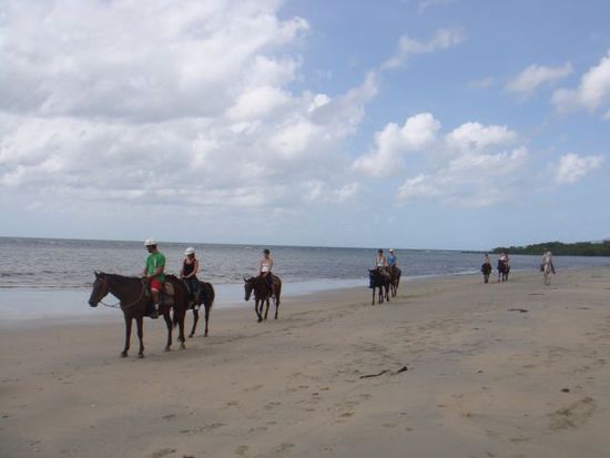 Reiten am Strand...wie schön