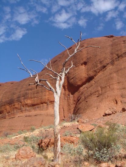 Tolle Farben im Tal der Kata Tjuta
