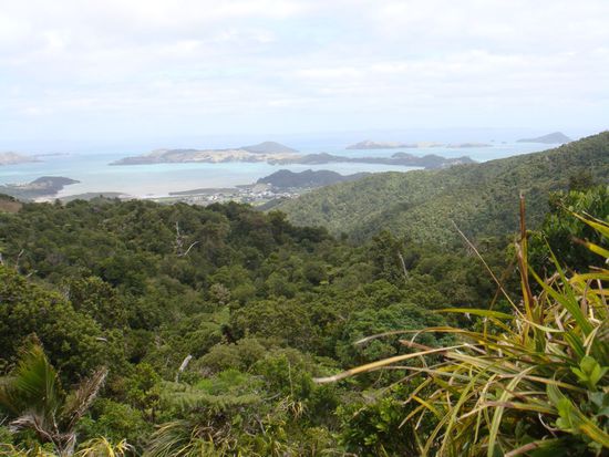 Blick vom Hinterland in Coromandel aufs Meer.