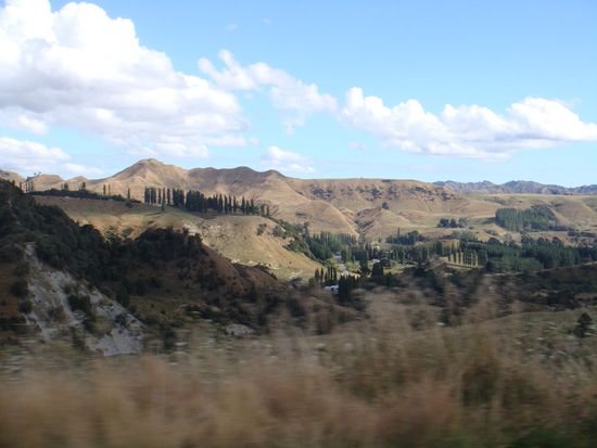 Landschaft auf dem Weg nach Wellington.