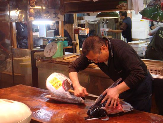 Wie alles in Japan ist es auch auf dem Fischmarkt exrem sauber