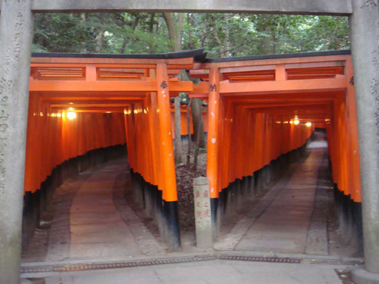 Torii-Bogengang beim Fushimi-Inari-Schrein