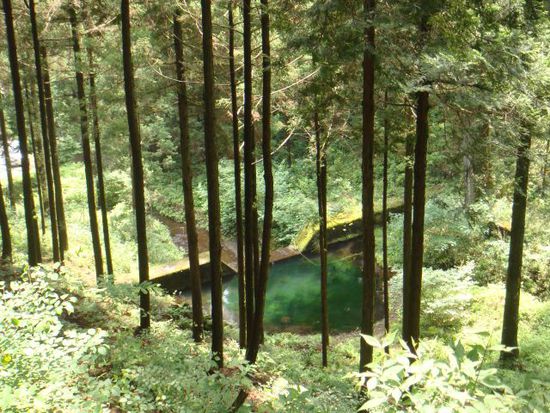 Ab in die Natur...