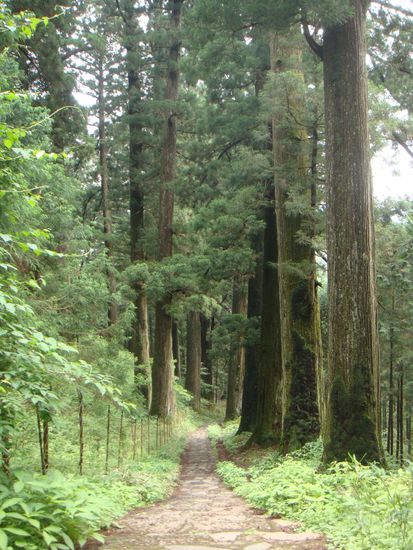 ...durch märchenhafte Wälder...