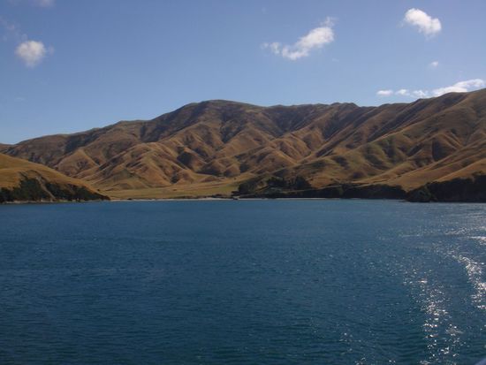 Einfahrt in die Marlborough Sounds