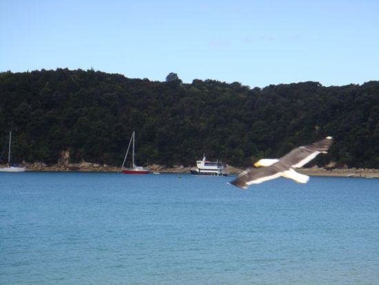 Das Hausboot aus der Ferne