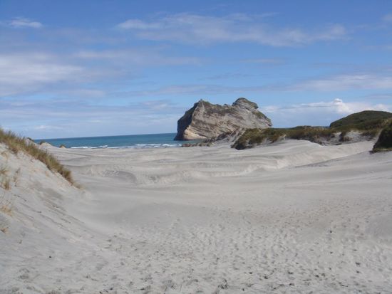 Dünenlandschaft vor dem Wharariki Beach