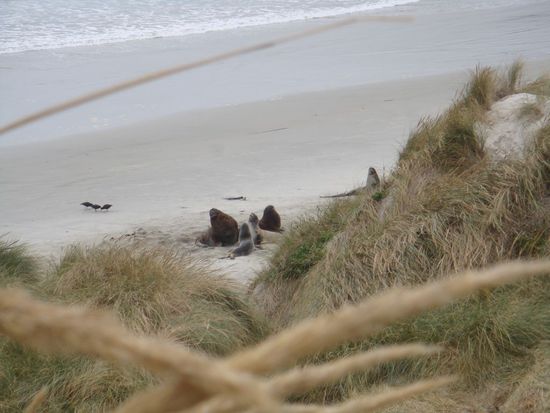 Da posieren die Brocken fuer das Bild