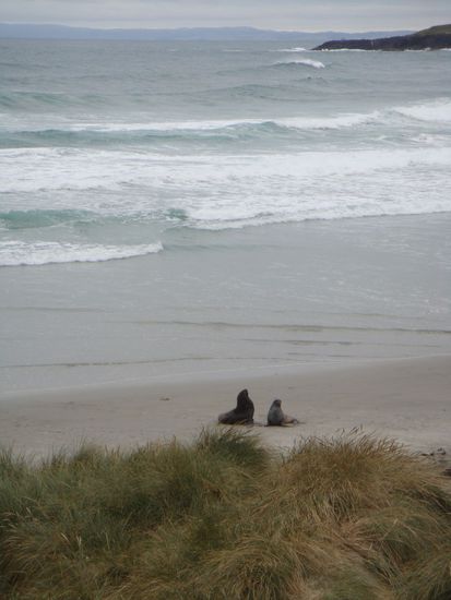 Und hier nochmal eine Pose