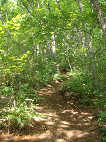 "Das Wandern ist des Müllers Lust..."
