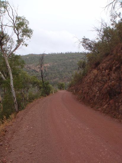 Die Strasse durch die Eukalyptus-Wälder