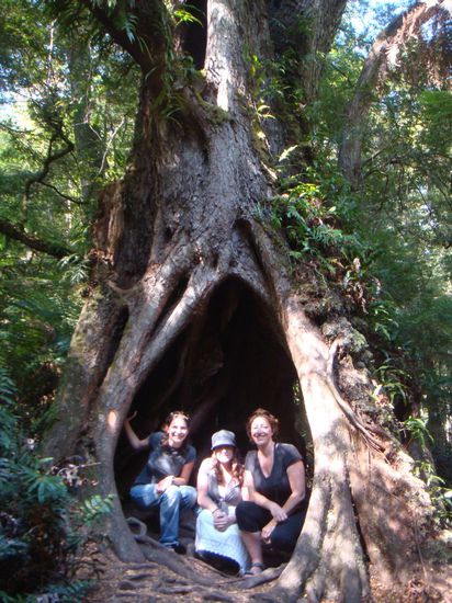 Das nenne ich mal einen Stamm...