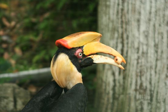 Andi und ich sind dann noch zu einem Abstecher in den Tierpark, während die Mädels zurück zum Hotel sind!