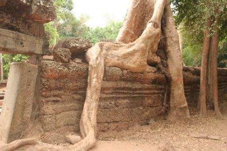 Ta Prohm