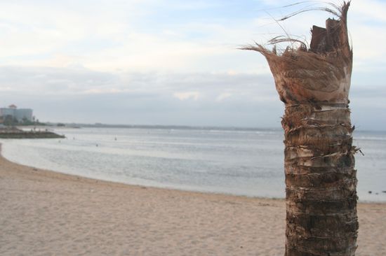 unser Strand bei Flut