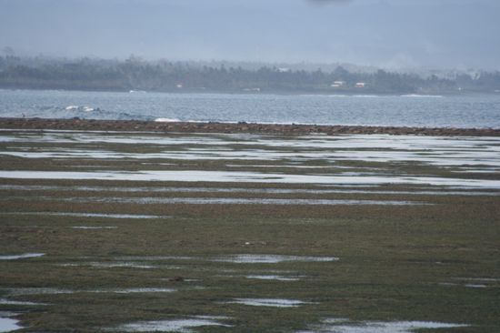 unser Strand bei Ebbe