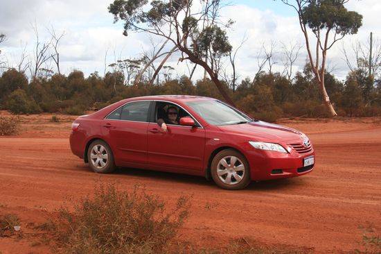 Conny in unserer Rose